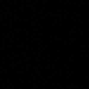 Meet your Posher, Curtis